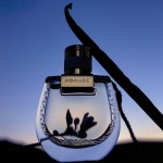 Chloe Nomade Nuit D'egypte Edp Kadın Parfüm 75 Ml - Görsel 2