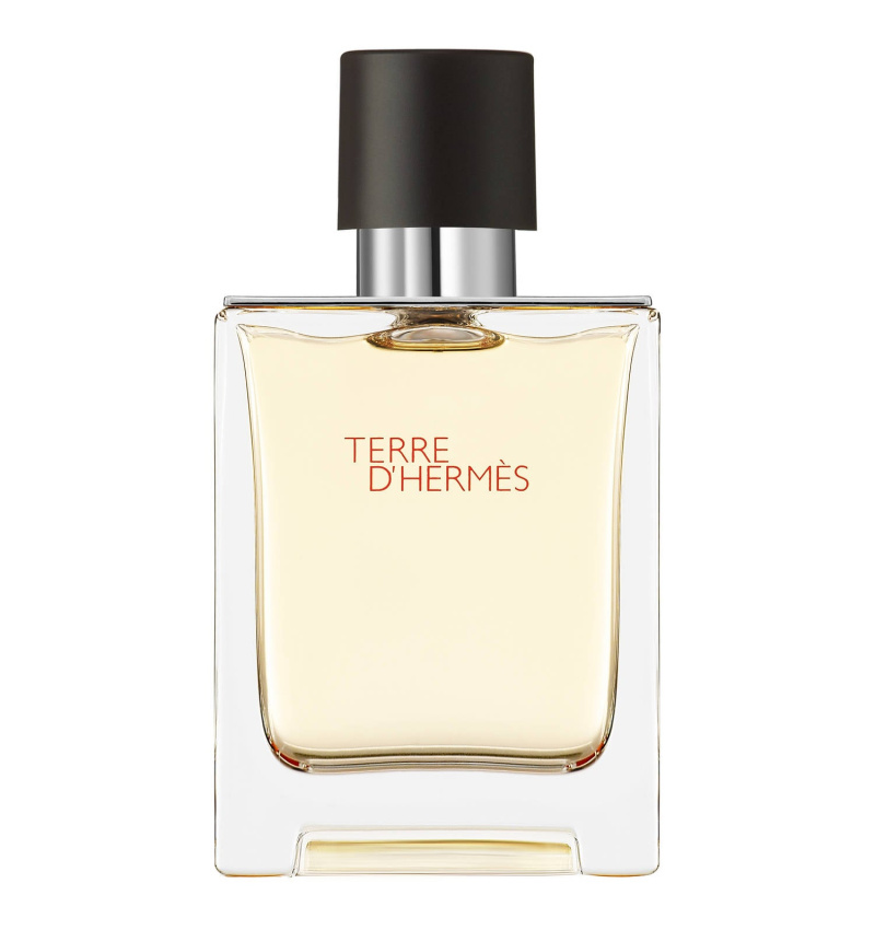 Hermes Terre d'Hermès, Eau de Toilette Edt Erkek Parfüm 100 Ml