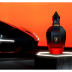 Xerjoff for Automobili Lamborghini - Fierezza 100 Ml Parfüm - Görsel 2